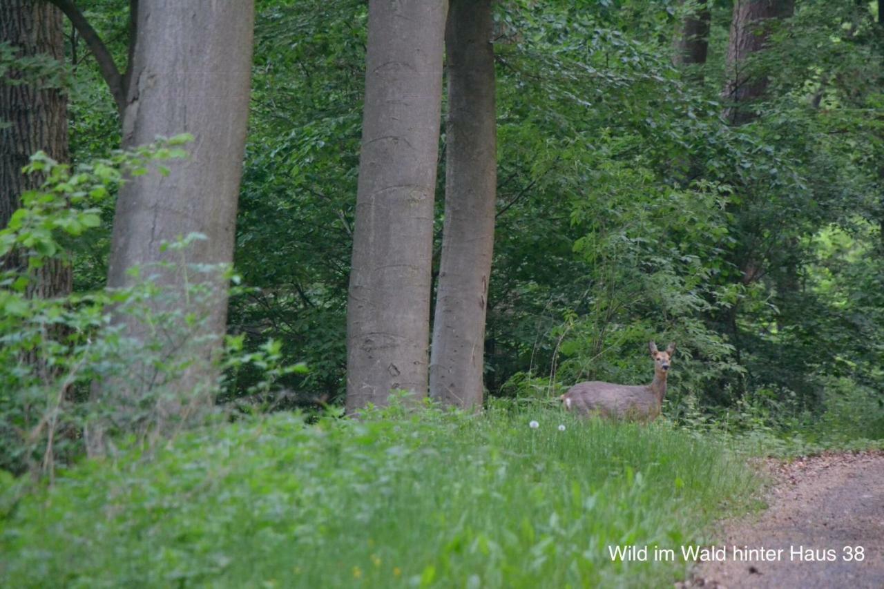 Huis 38 Seepark Kirchheim Kirchheim  Buitenkant foto